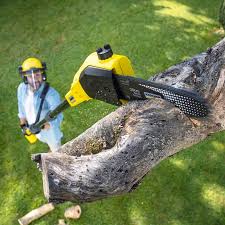 Best Sod Installation  in Fremont, OH