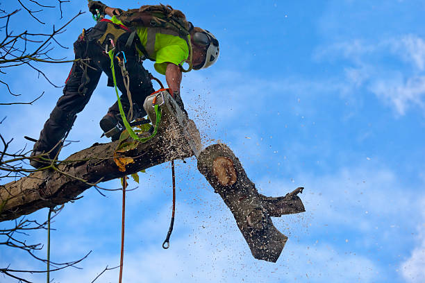 Best Soil Testing and Treatment  in Fremont, OH